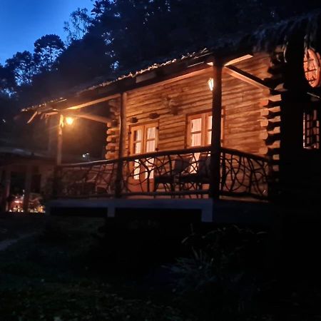 Aya Natural Udumbanshola Exterior photo